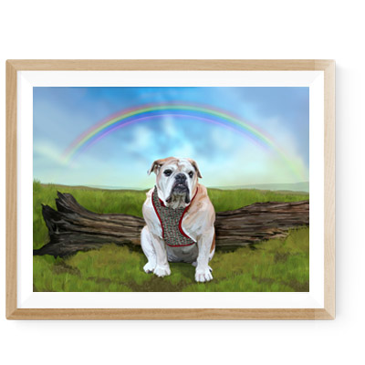 English Bulldog - Rainbow Bridge Portrait